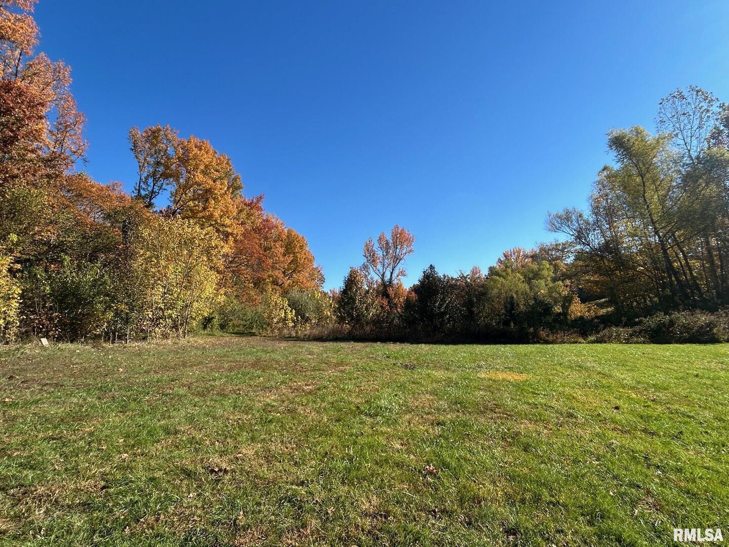 1591 North Reed Station Road Carbondale, IL 62901 - Photo 41 of 44 a view of a field with a tree in the background