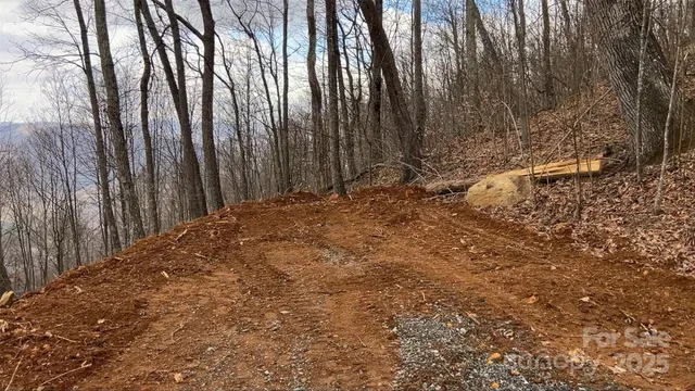 view of a black and white photo