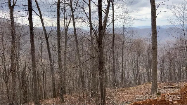 $140,000 | Lot 6 Andrew Banks Road, Burnsville, NC 28714