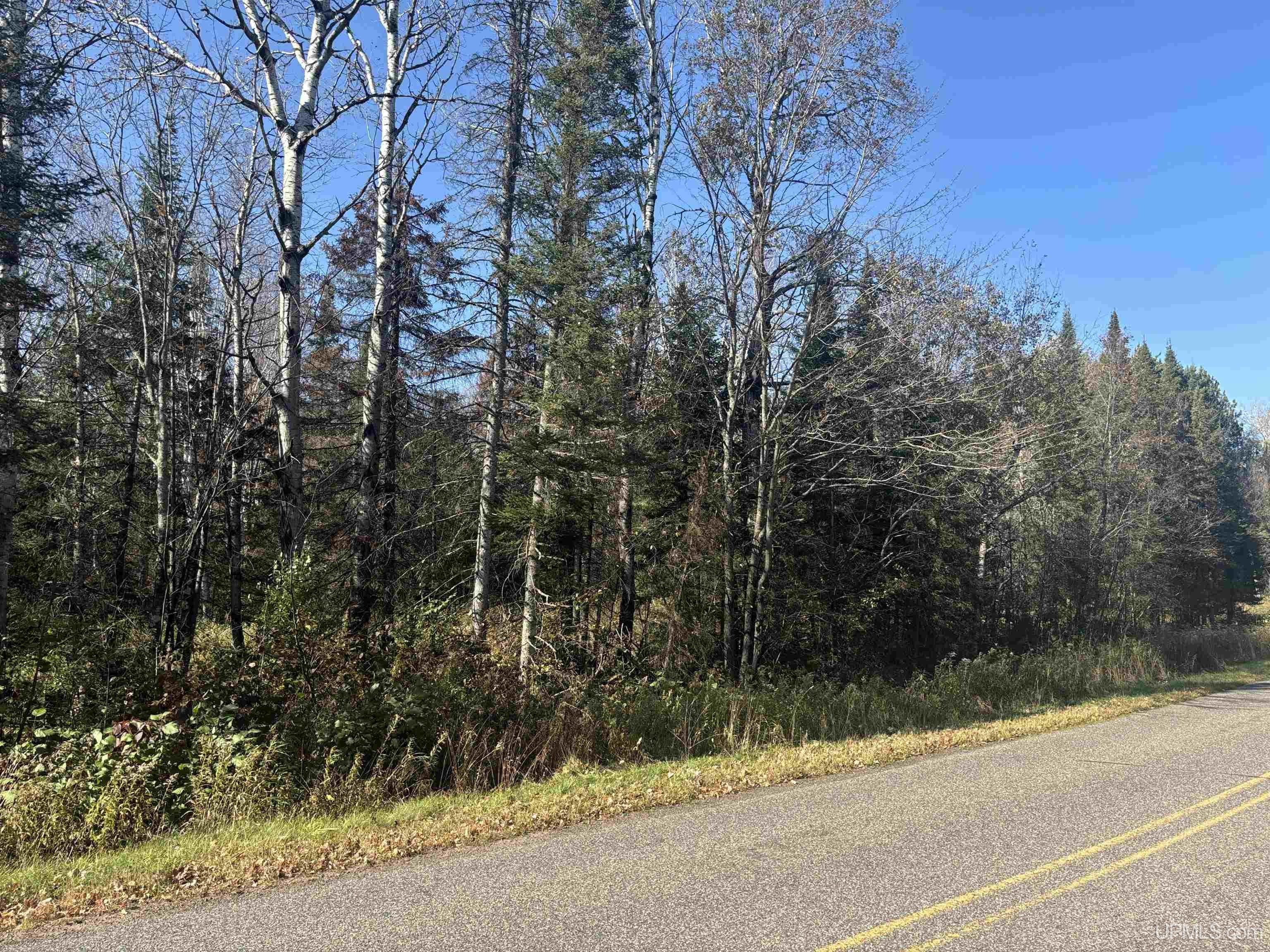 Tbd Johnson Road Bessemer, MI 49911 - Photo 34 of 39 Gallery Image 34