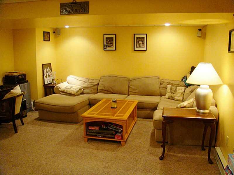 113 Mawhinney Road Cecil, PA 15321 - Photo 19 of 20 Family Room. Lower Level