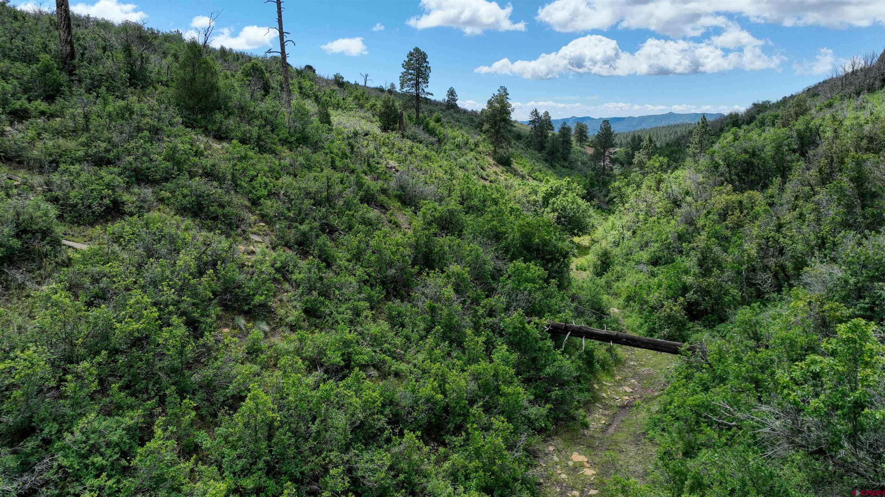 1717 Durango Ridge Road Durango, CO 81301 - Photo 4 of 15 an aerial view of a house with a yard