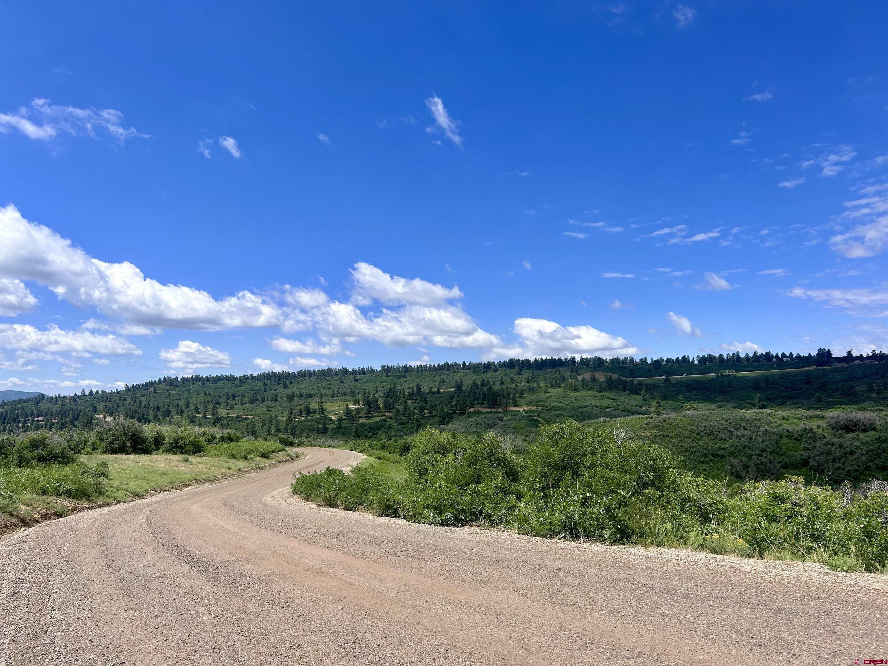 1717 Durango Ridge Road Durango, CO 81301 - Photo 5 of 15 a view of a garden with an ocean