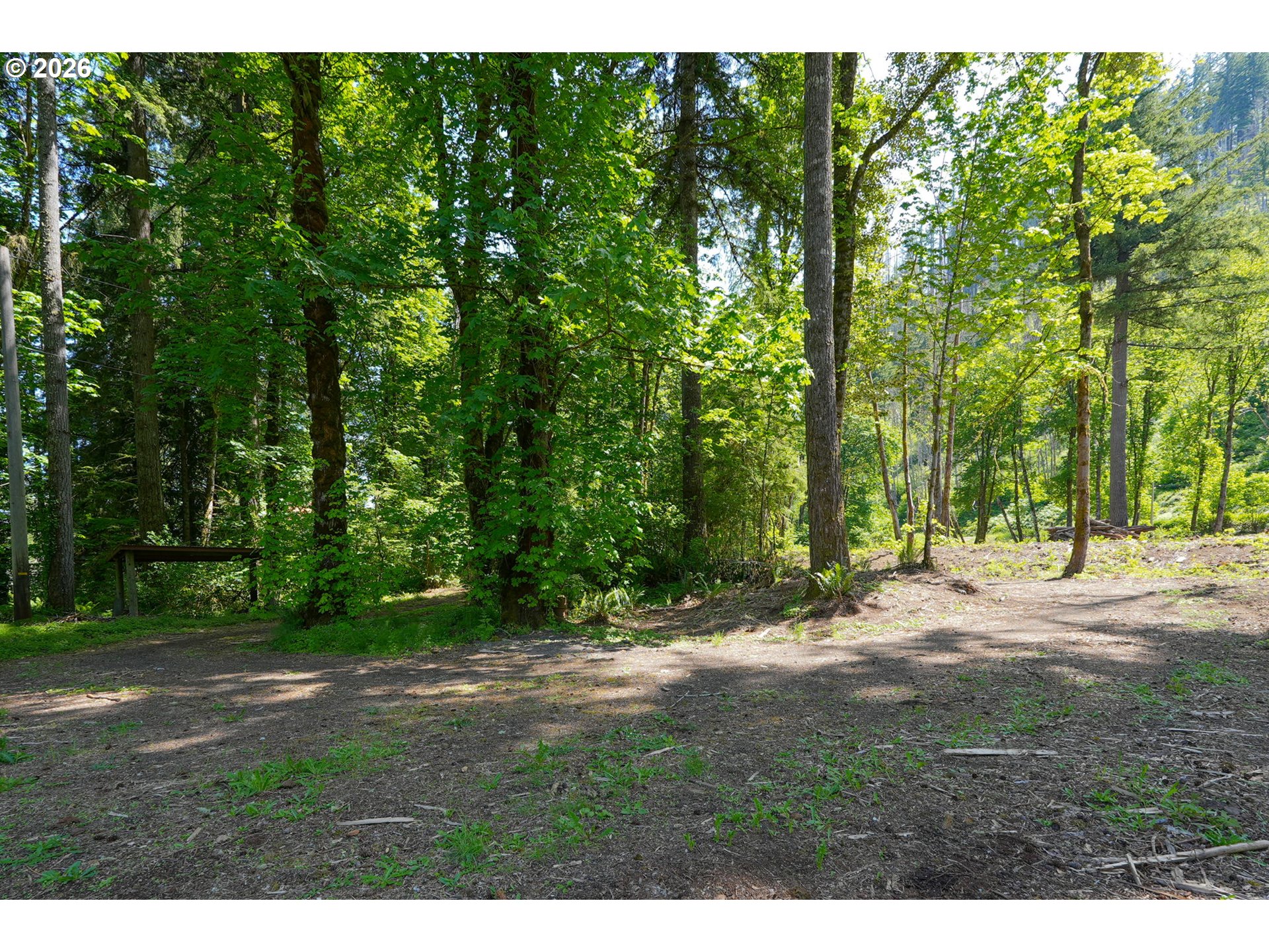Goodpasture Road, Unit 1809 Vida, OR 97488 - Photo 16 of 24