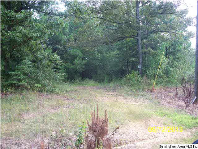 78 Highway 78, Unit 85 Fruithurst, AL 36262 - Photo 7 of 11