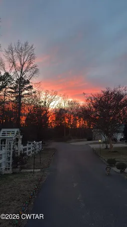 a view of a big yard with lots of bushes