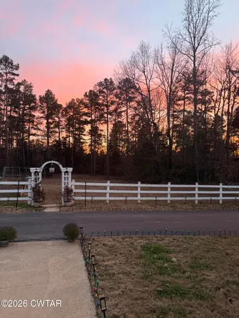 a view of a backyard of trees