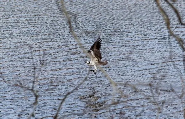 $649,000 | 15 Riverview Avenue, Unit D, Mashpee, MA 02649