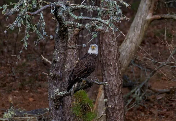 $649,000 | 15 Riverview Avenue, Unit D, Mashpee, MA 02649