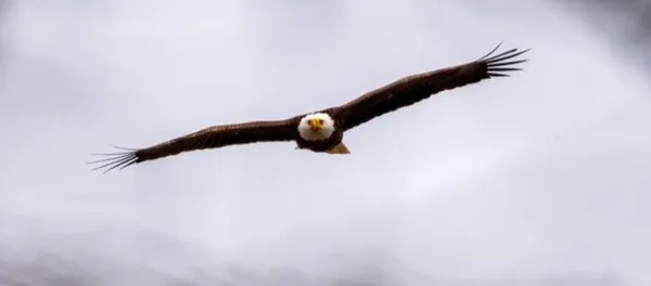 $649,000 | 15 Riverview Avenue, Unit D, Mashpee, MA 02649