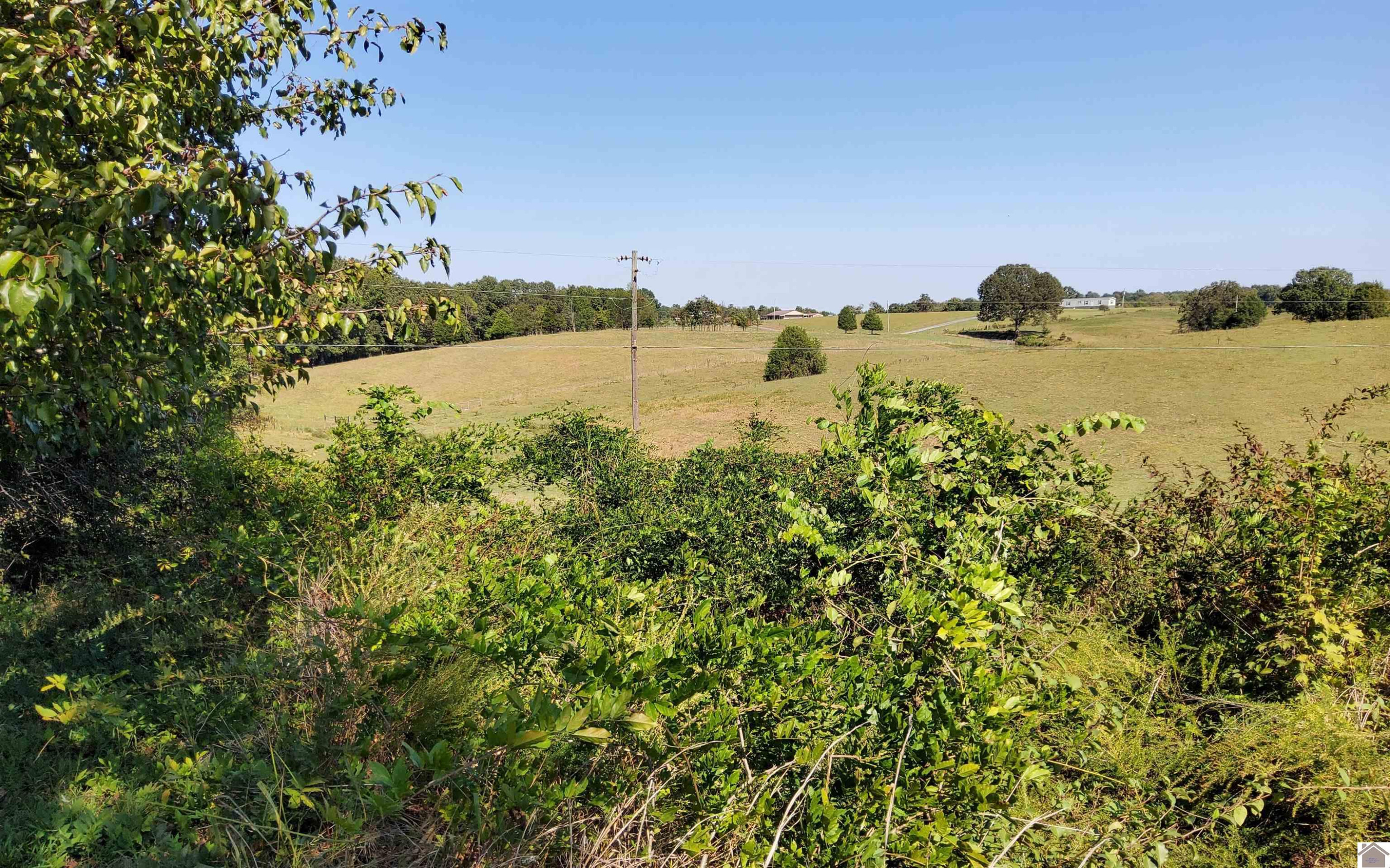 0 McKinney Road Kuttawa, KY 42055 - Photo 2 of 2 Photo 2