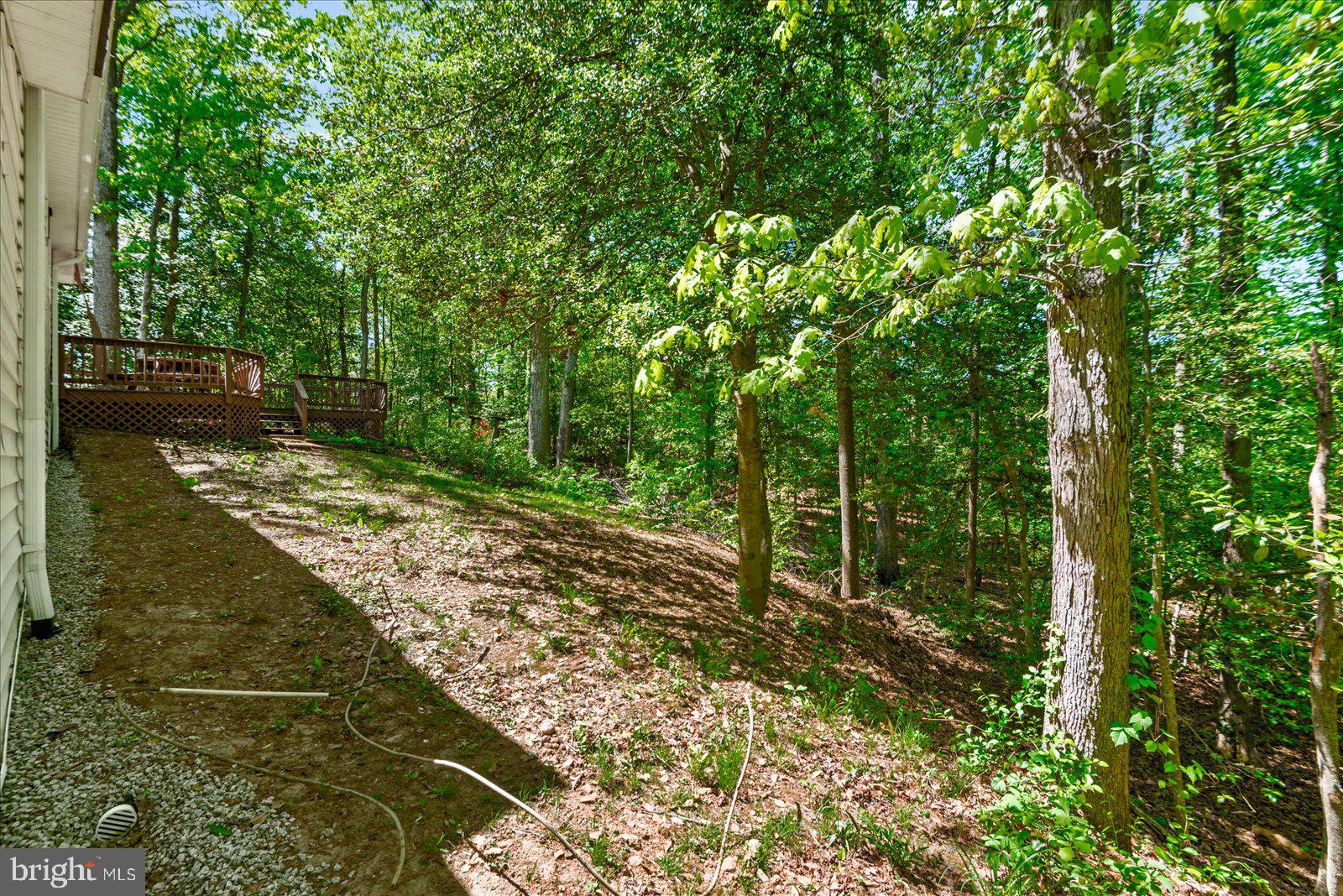 37 Hope Road Stafford, VA 22554 - Photo 43 of 47 Private backyard with wooded views