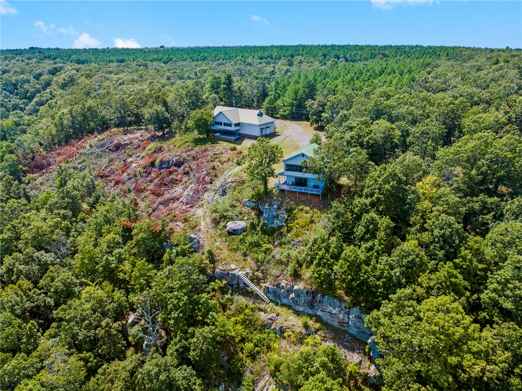 0 Spring Mountain Delaware, AR 72835 - Photo 2 of 33 Gallery Image 2