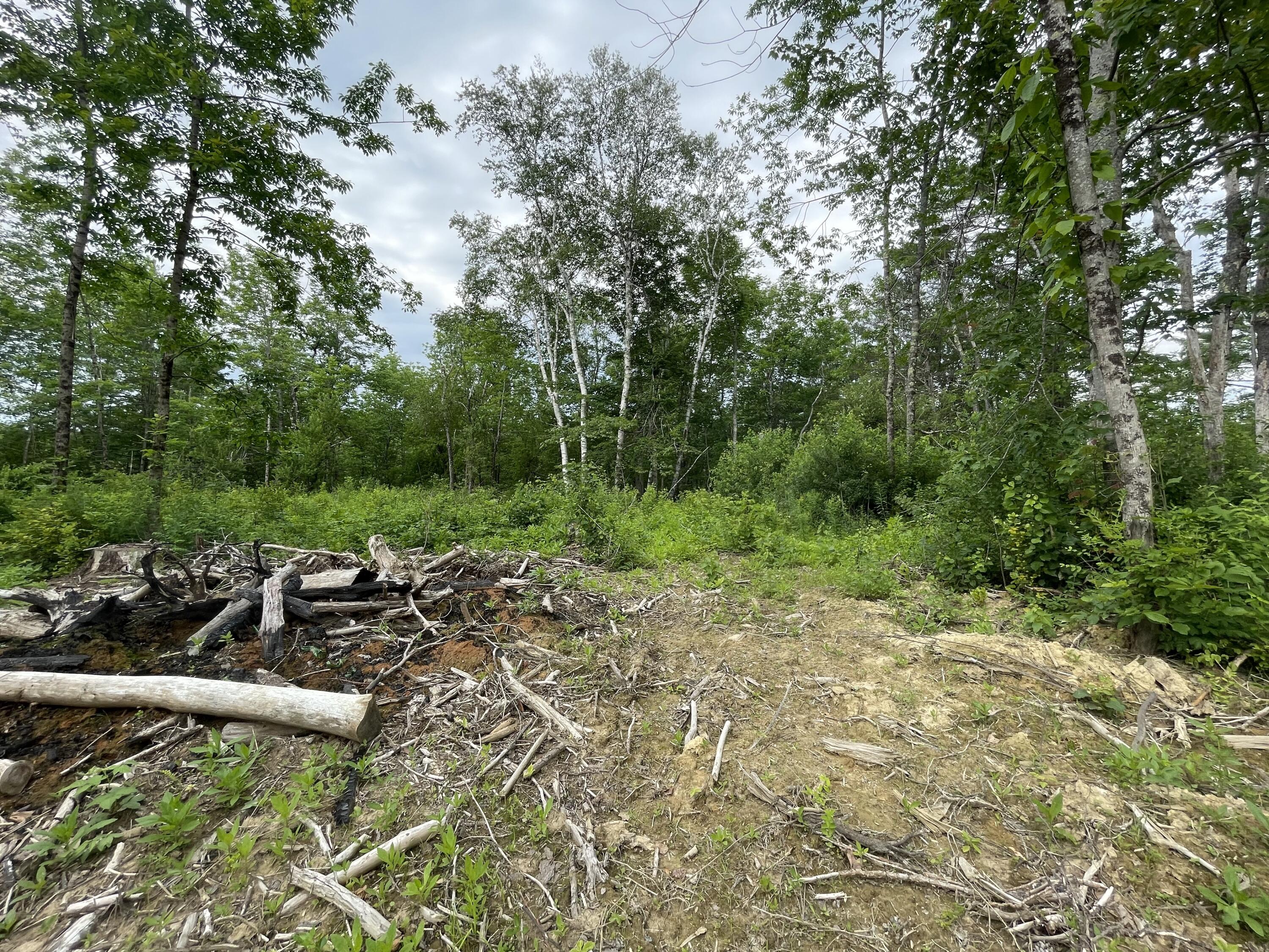 1 Lupine Road Belfast, ME 04915 - Photo 15 of 16 IMG_1719
