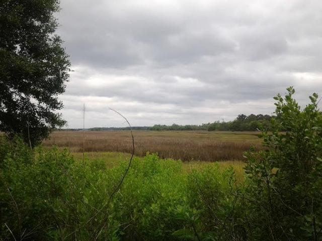 3714 Marshfield Road Johns Island, SC 29455 - Photo 32 of 33 20151024004025575435000000-o