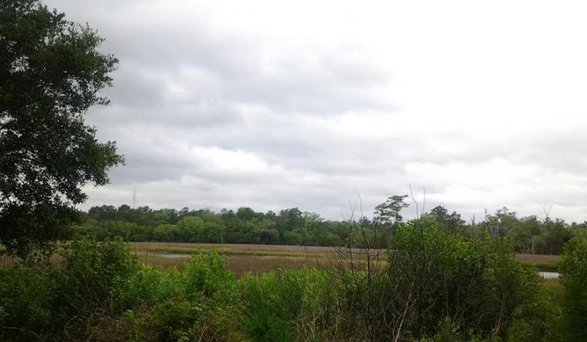 3714 Marshfield Road Johns Island, SC 29455 - Photo 33 of 33 20151024004023556446000000-o