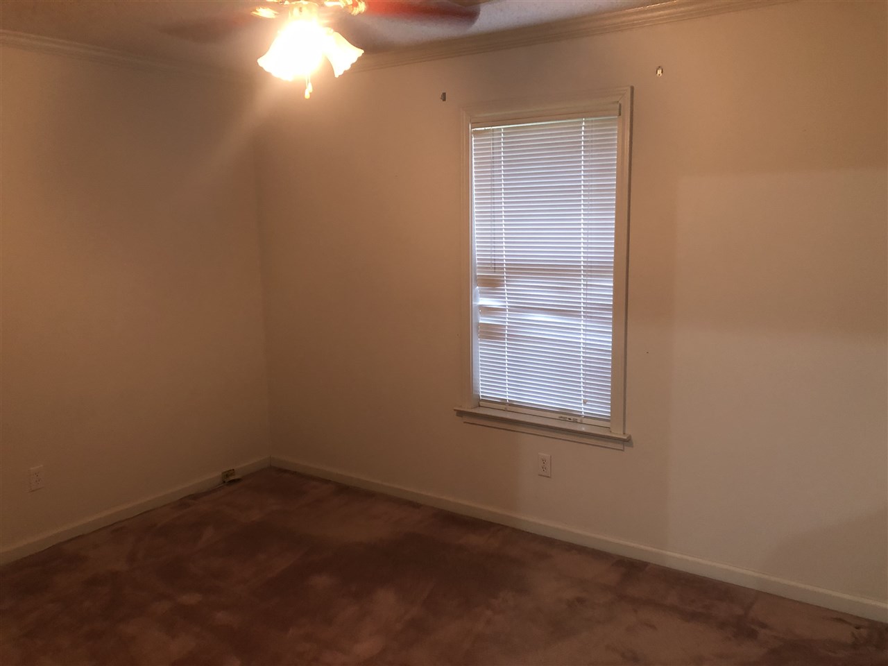 7656 Newfound Gap Road Memphis, TN 38125 - Photo 11 of 12 Gallery Image 11