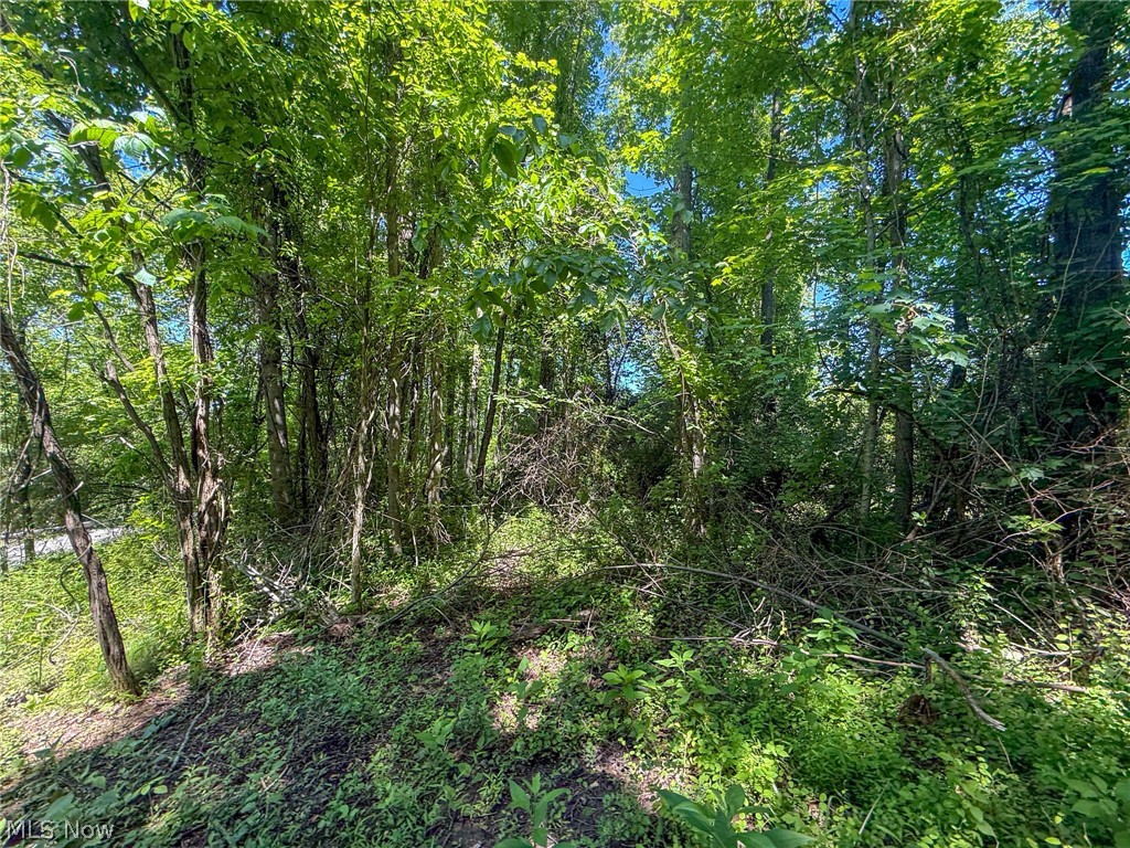 Lot 1 Altamont Road Mingo Junction, OH 43938 - Photo 31 of 31 Gallery Image 31
