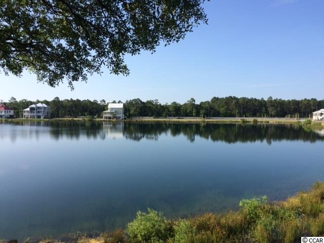 Lot 37 Deep Lake Drive Murrells Inlet, SC 29576 - Photo 10 of 13