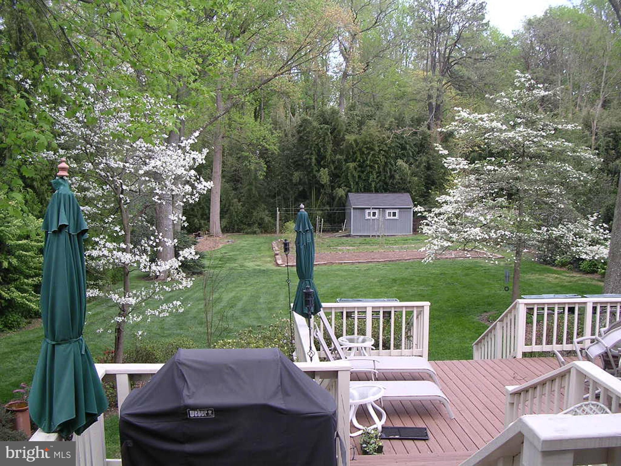 3807 Hummer Road Annandale, VA 22003 - Photo 25 of 30 Exterior (Rear)