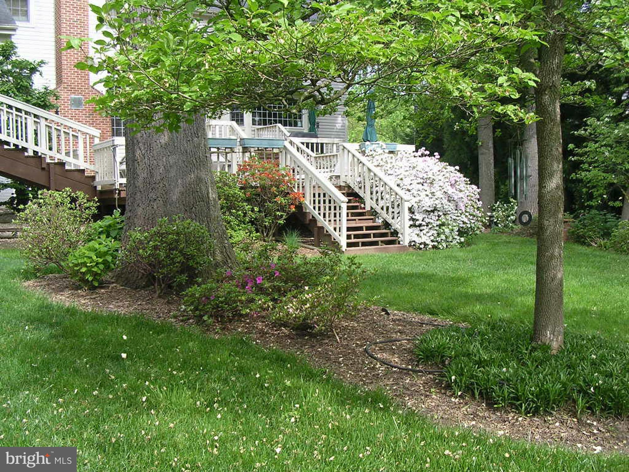 3807 Hummer Road Annandale, VA 22003 - Photo 28 of 30 Exterior (Rear)