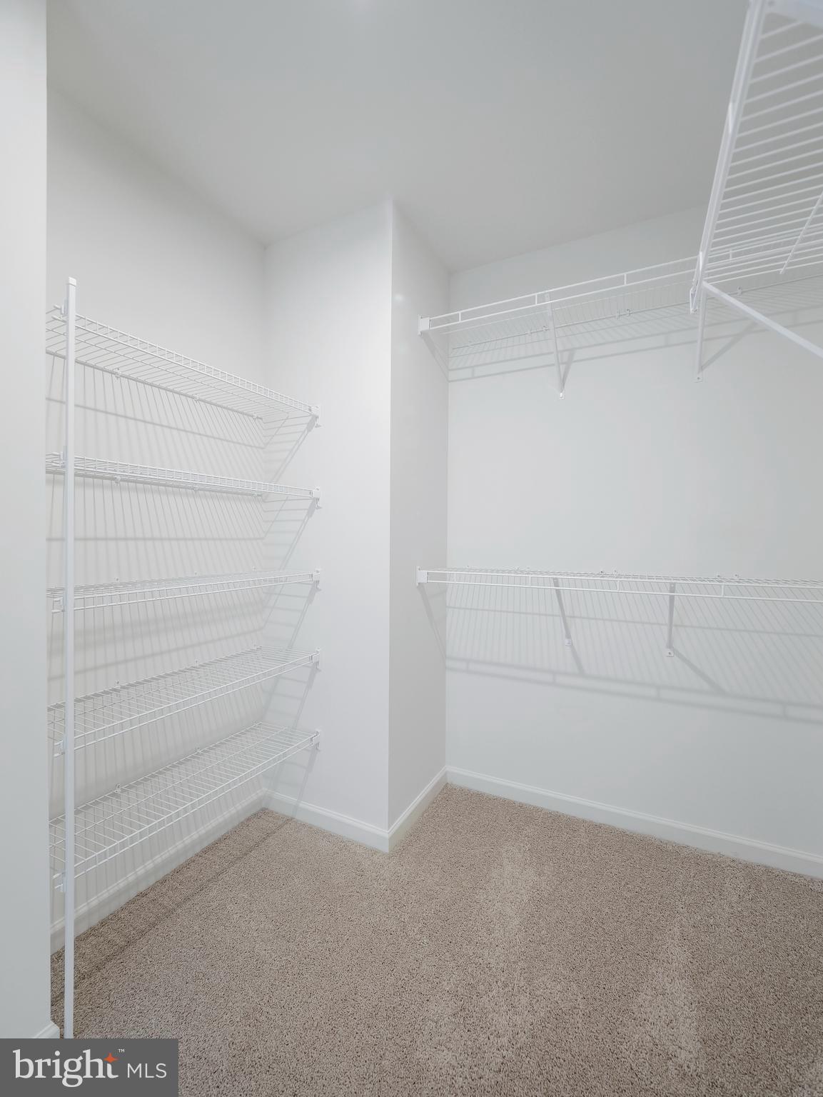 67 Stafford Place Falling Waters, WV 25419 - Photo 15 of 42