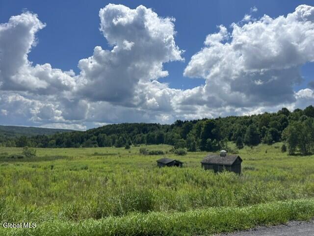 359 Baldwin Road Summit, NY 12093 - Photo 21 of 22 Site View