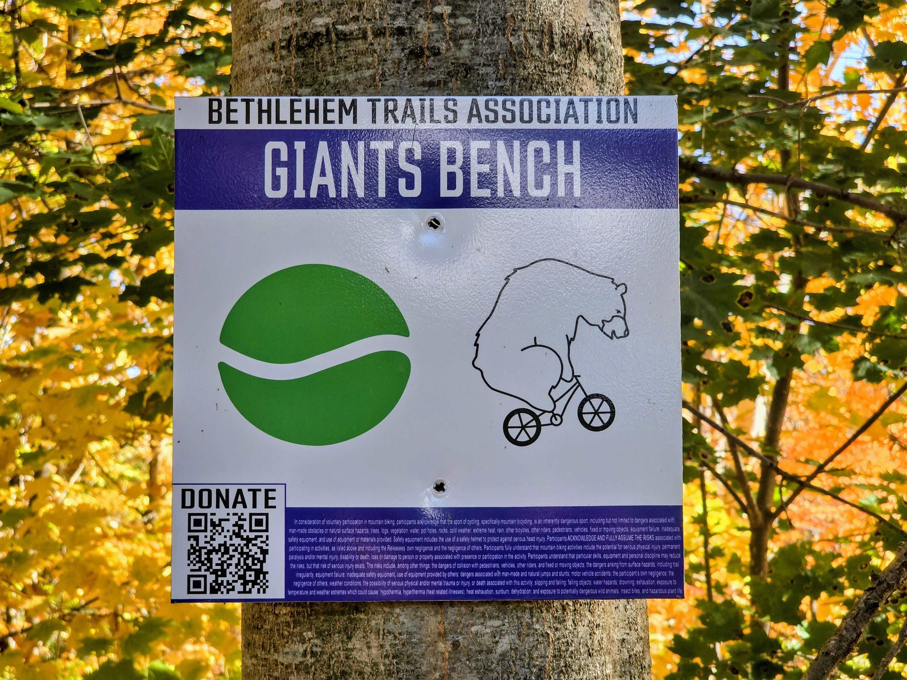 42 Maple Street Bethlehem, NH 03574 - Photo 48 of 55