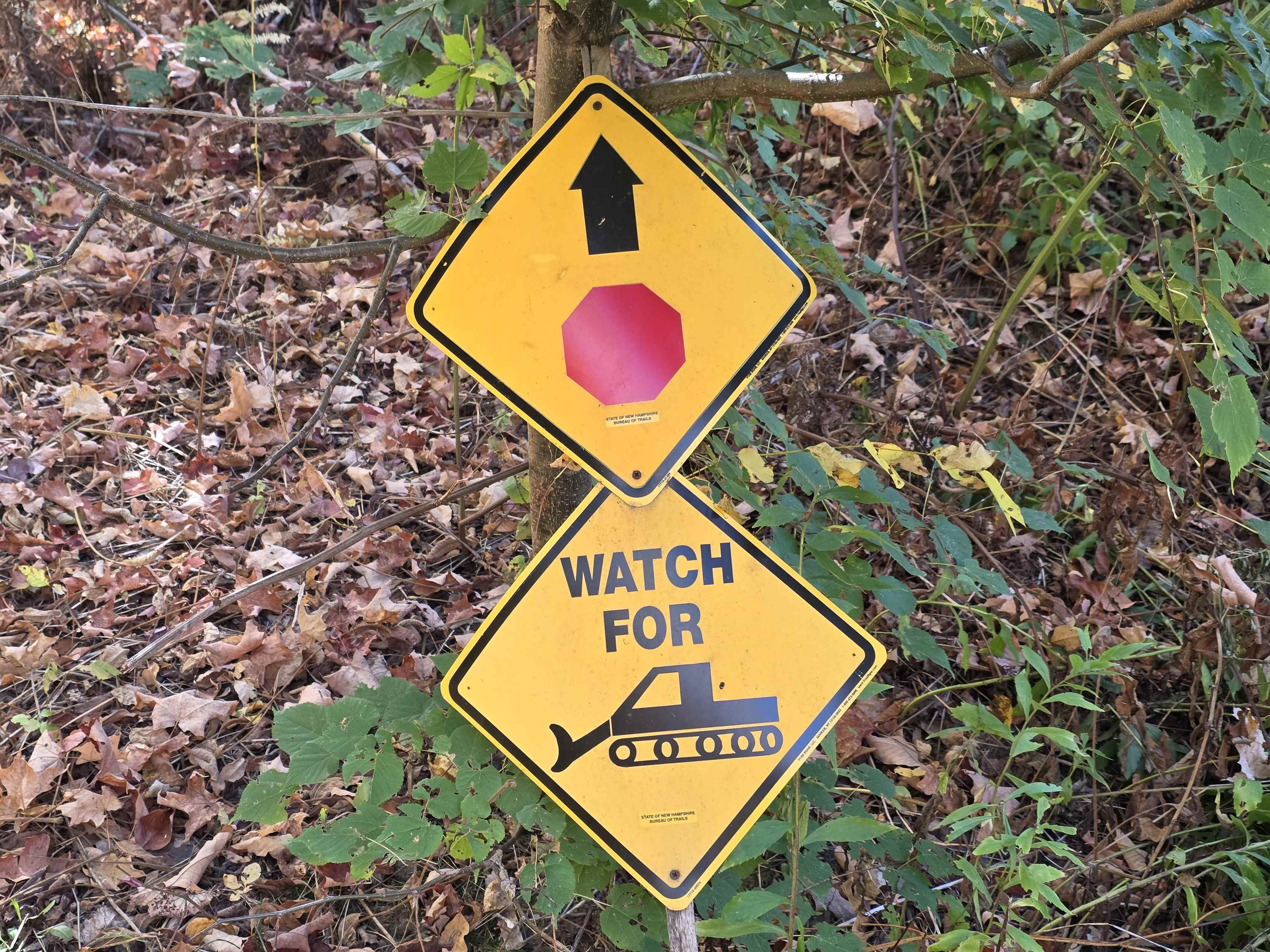 42 Maple Street Bethlehem, NH 03574 - Photo 49 of 55