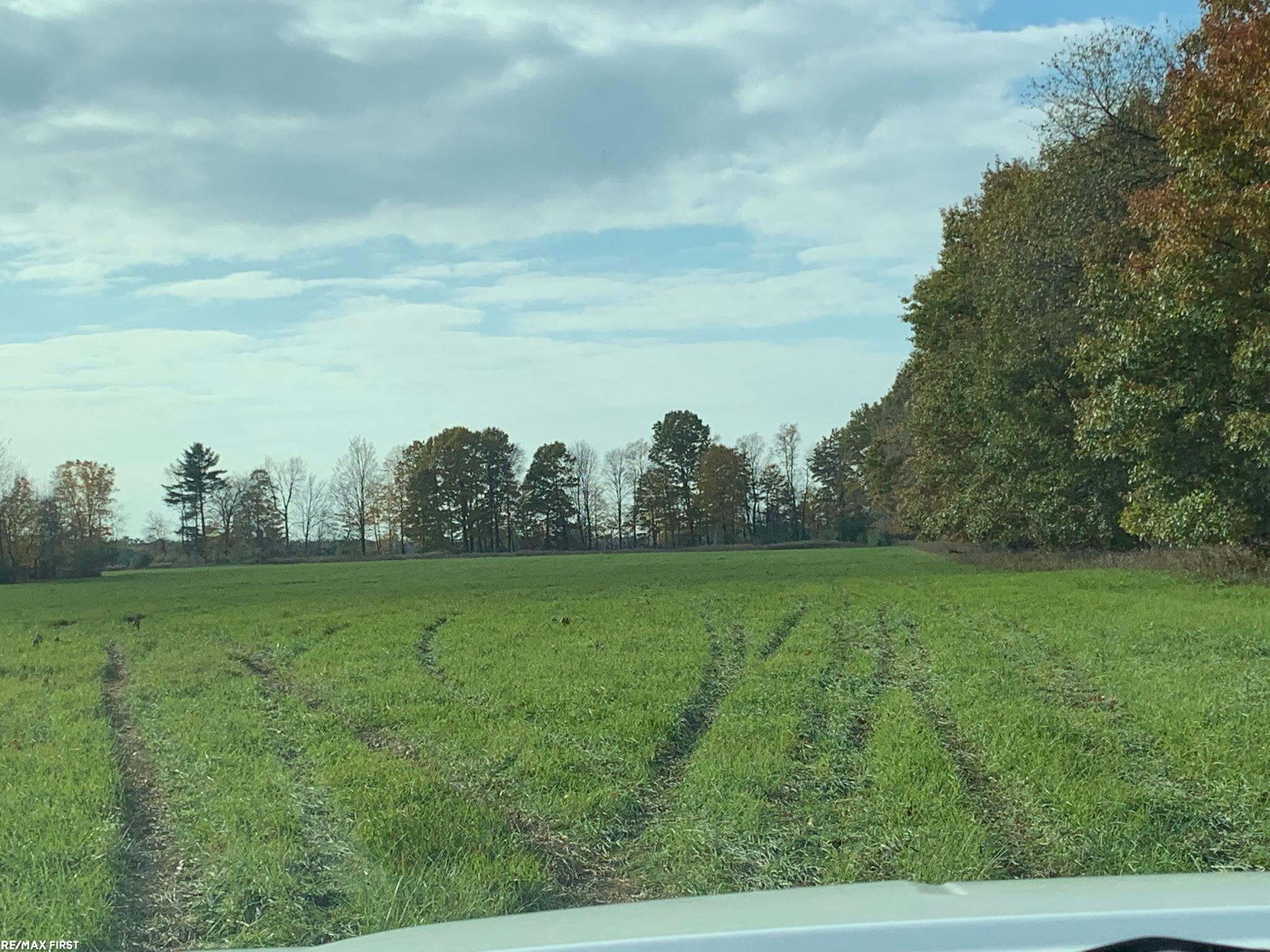 0 North Five Lakes Road Lapeer, MI 48446 - Photo 19 of 22