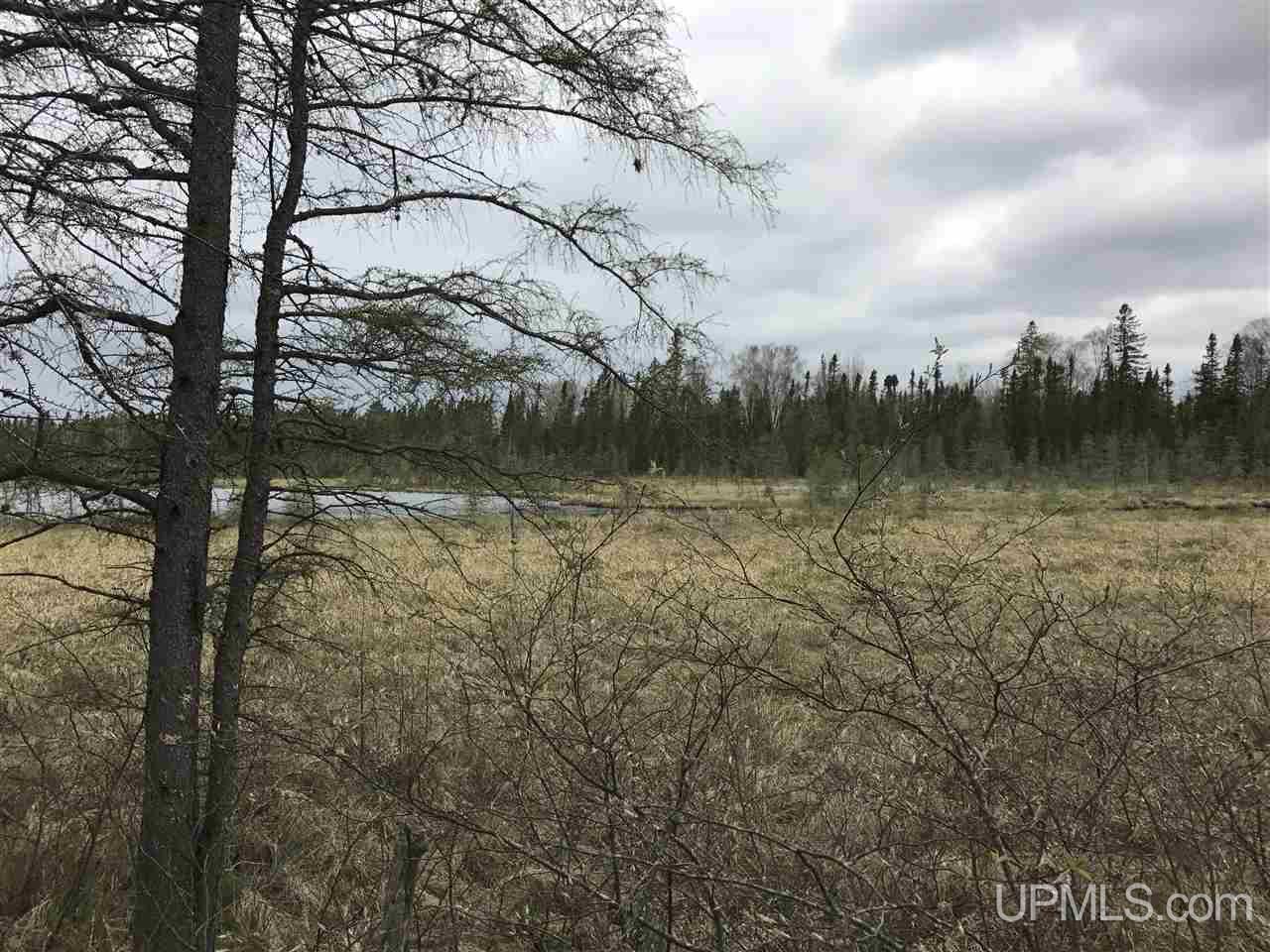 40-ac Kelso Road Crystal Falls, MI 49920 - Photo 13 of 21