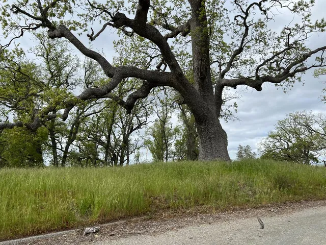 a view of a yard with an outdoor seating