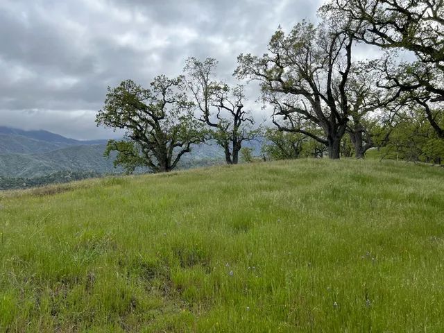 a view of an outdoor space with a lake view