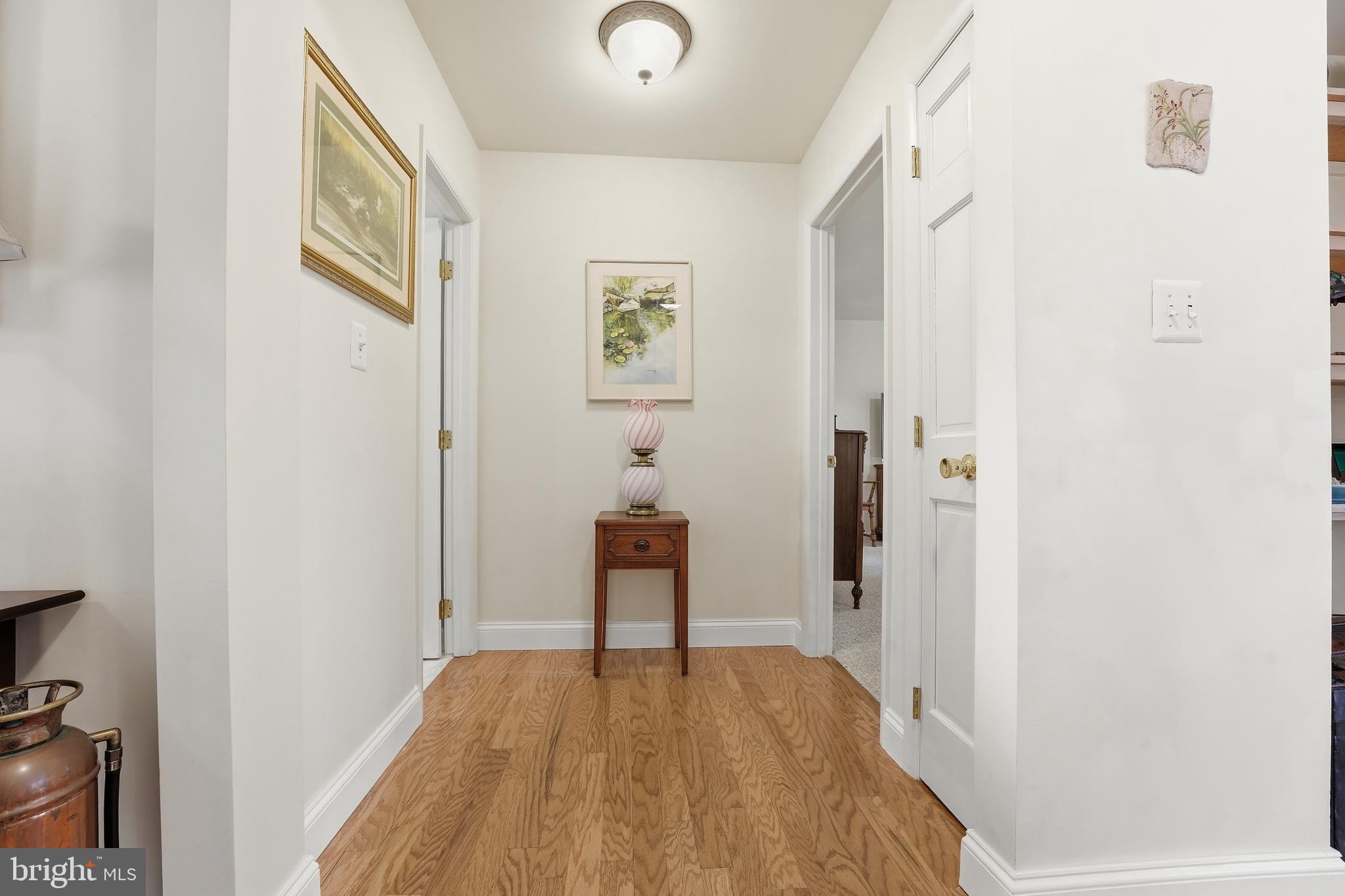 15403 Froggy Bottom Lane Rixeyville, VA 22737 - Photo 24 of 51 Hallway to half bath and primary suite