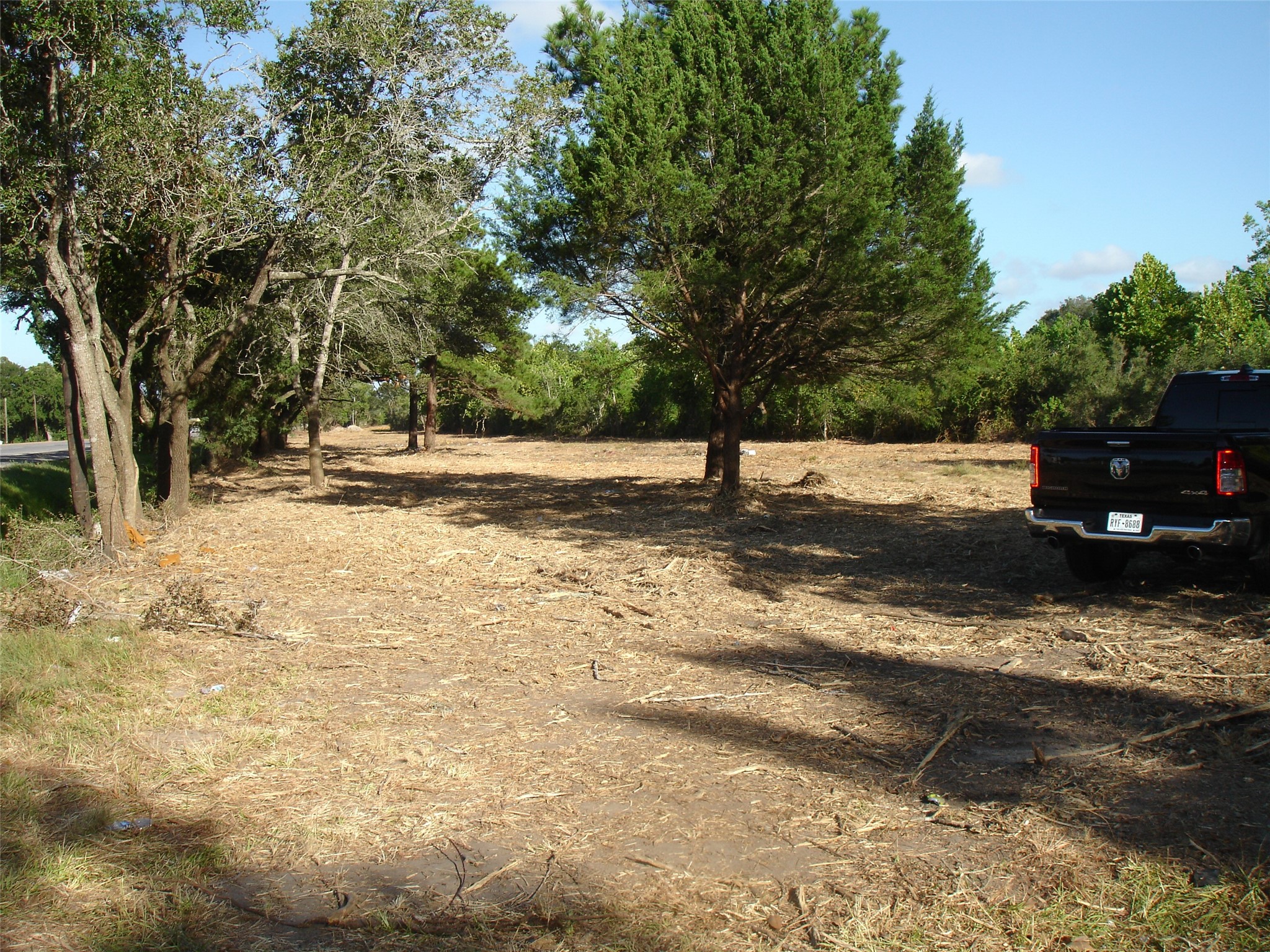 0 Highway 6 Santa Fe, TX 77517 - Photo 2 of 18 a view of a yard with a tree