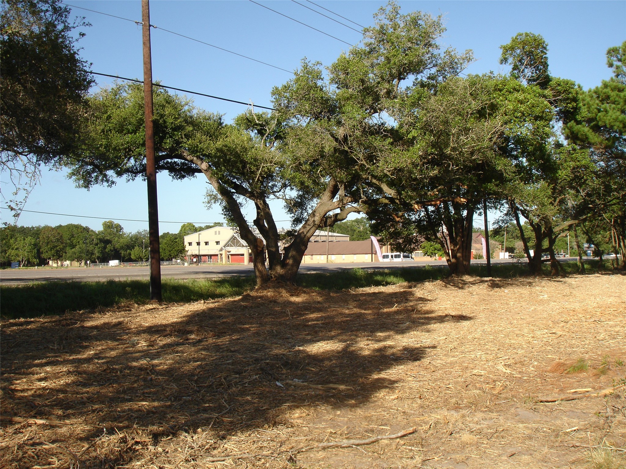 0 Highway 6 Santa Fe, TX 77517 - Photo 3 of 18 a view of a yard with a tree