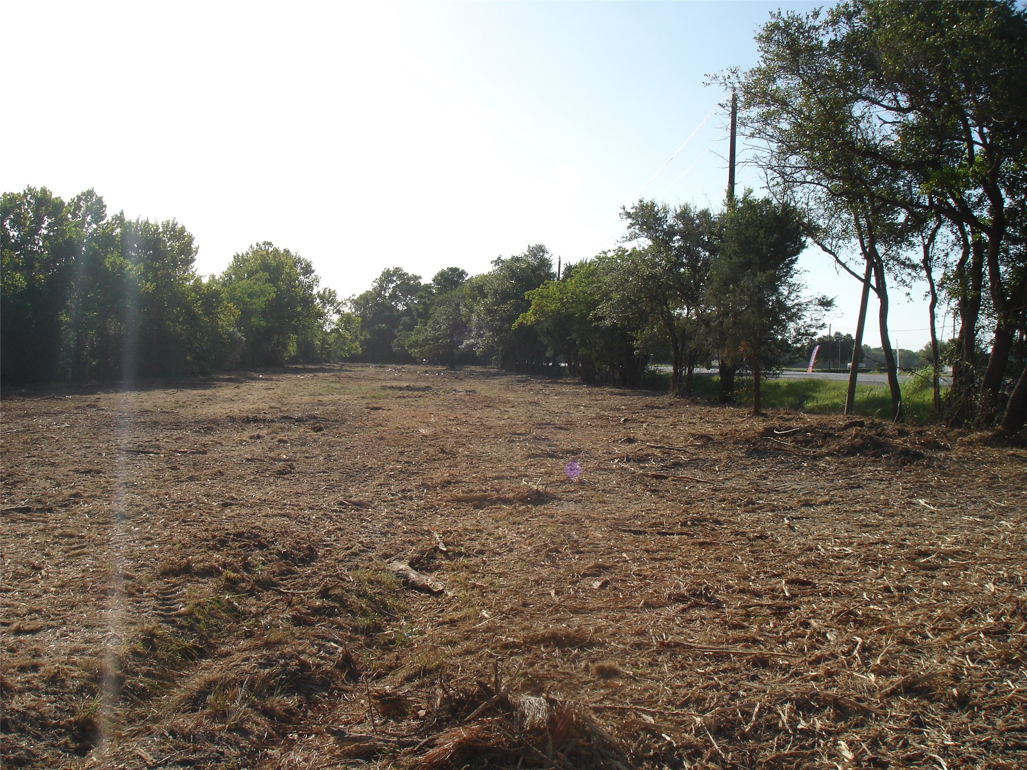 0 Highway 6 Santa Fe, TX 77517 - Photo 9 of 18 a view of a field with trees in background