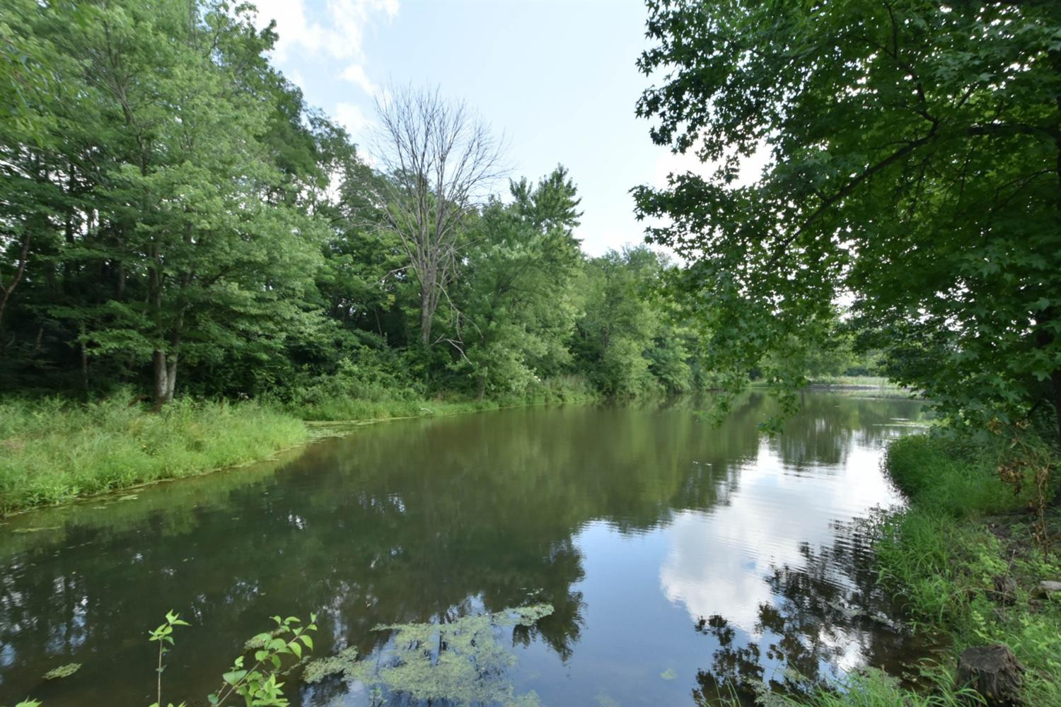 3831 Colby Road Winchester, KY 40391 - Photo 81 of 89 Listing Photo