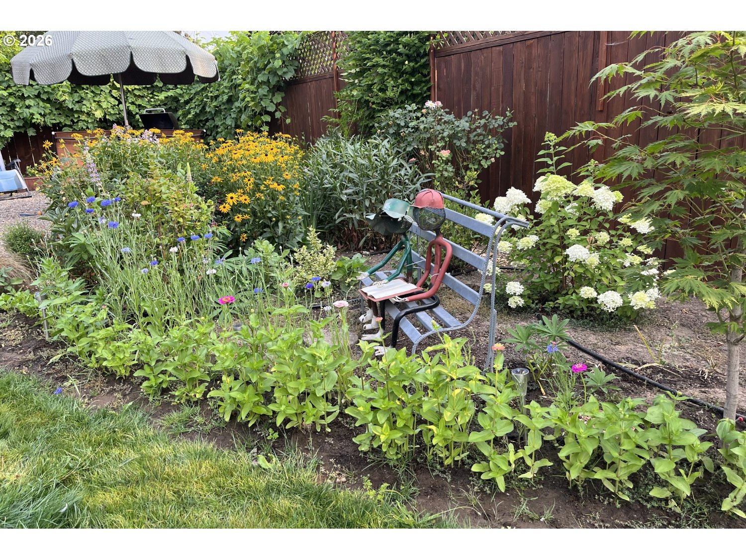 2141 Thomas Way Hubbard, OR 97032 - Photo 32 of 34