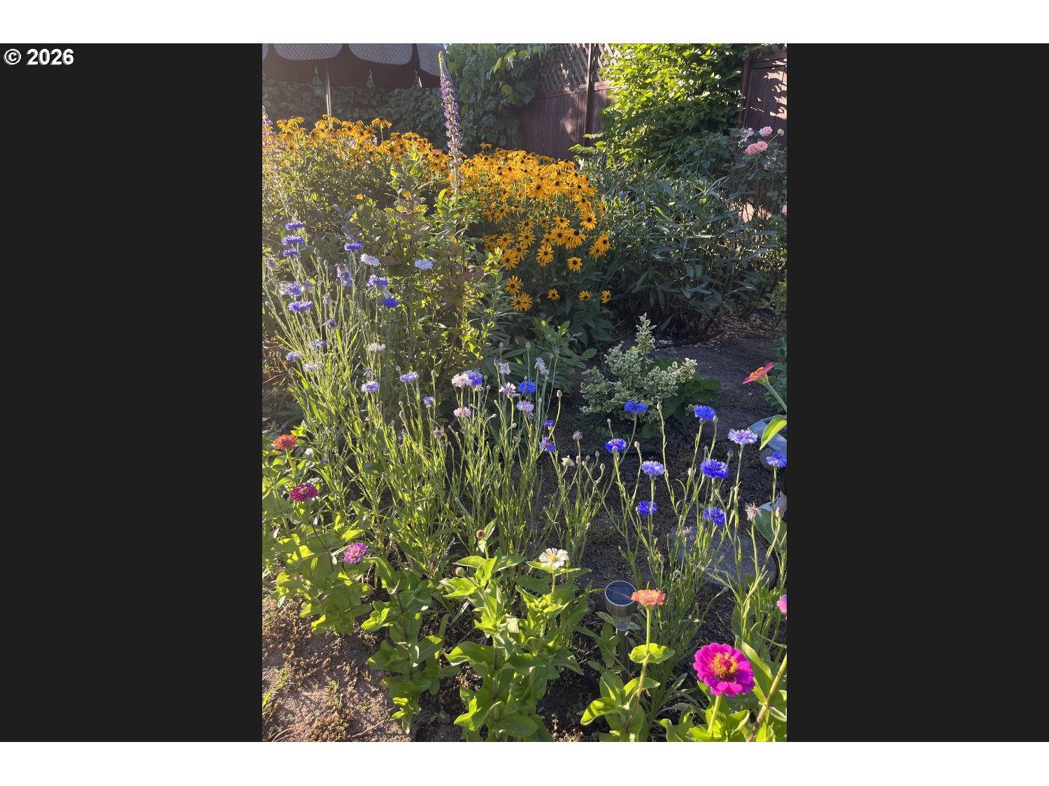 2141 Thomas Way Hubbard, OR 97032 - Photo 33 of 34