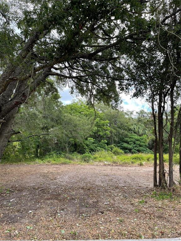 Hicks Hudson, FL 34669 - Photo 1 of 1 Gallery Image 1
