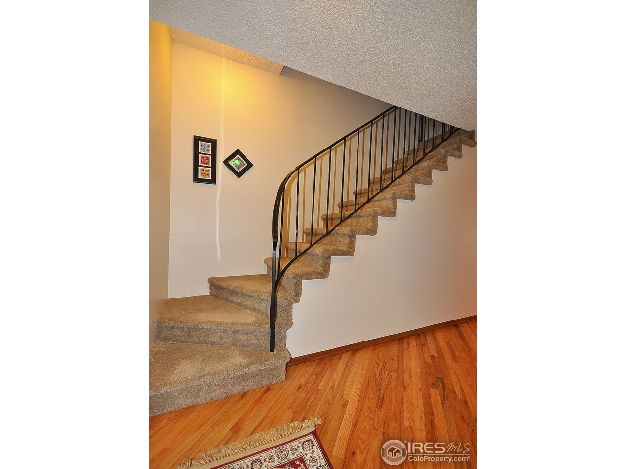 911 Club View Road Fort Collins, CO 80524 - Photo 2 of 25 Gallery Image 2