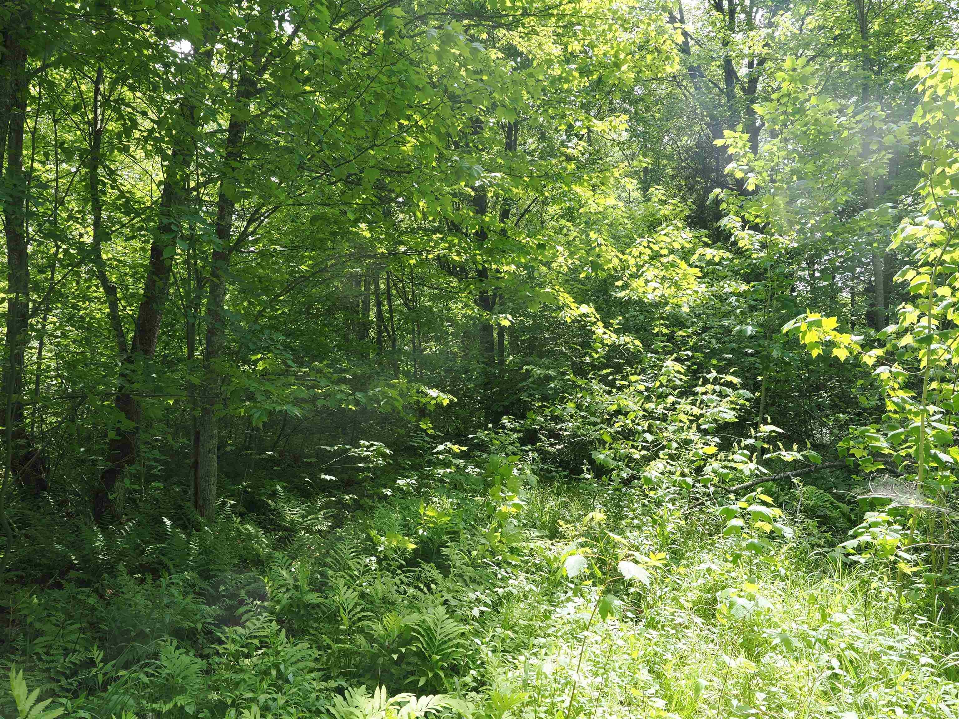 5 West 5 Mile Road Sault Ste. Marie, MI 49783 - Photo 16 of 30