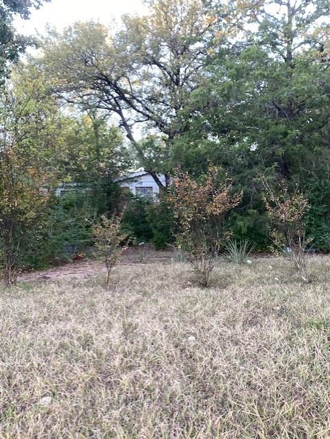 7060 John T White Road Fort Worth, TX 76120 - Photo 2 of 13 a view of a forest with trees in the background