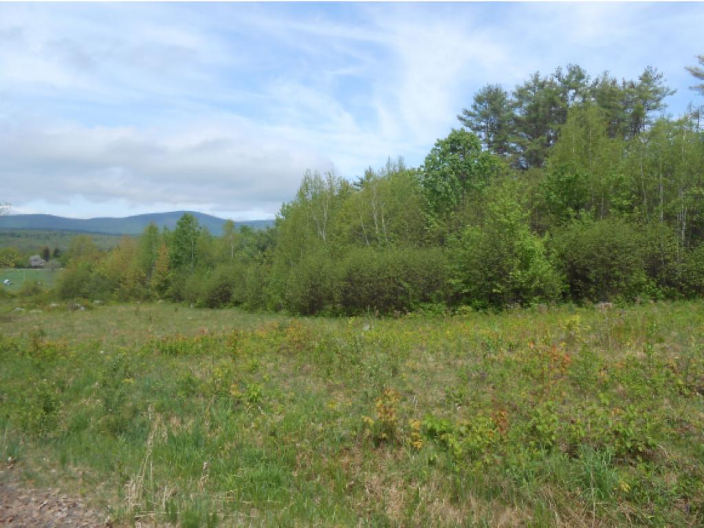 X Talbert Hill Road Canaan, NH 03741 - Photo 1 of 6 Gallery Image 1