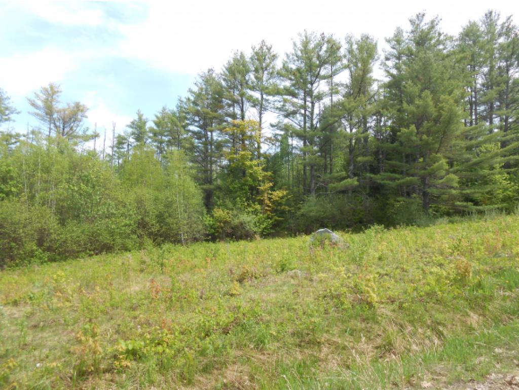 X Talbert Hill Road Canaan, NH 03741 - Photo 2 of 6 Gallery Image 2