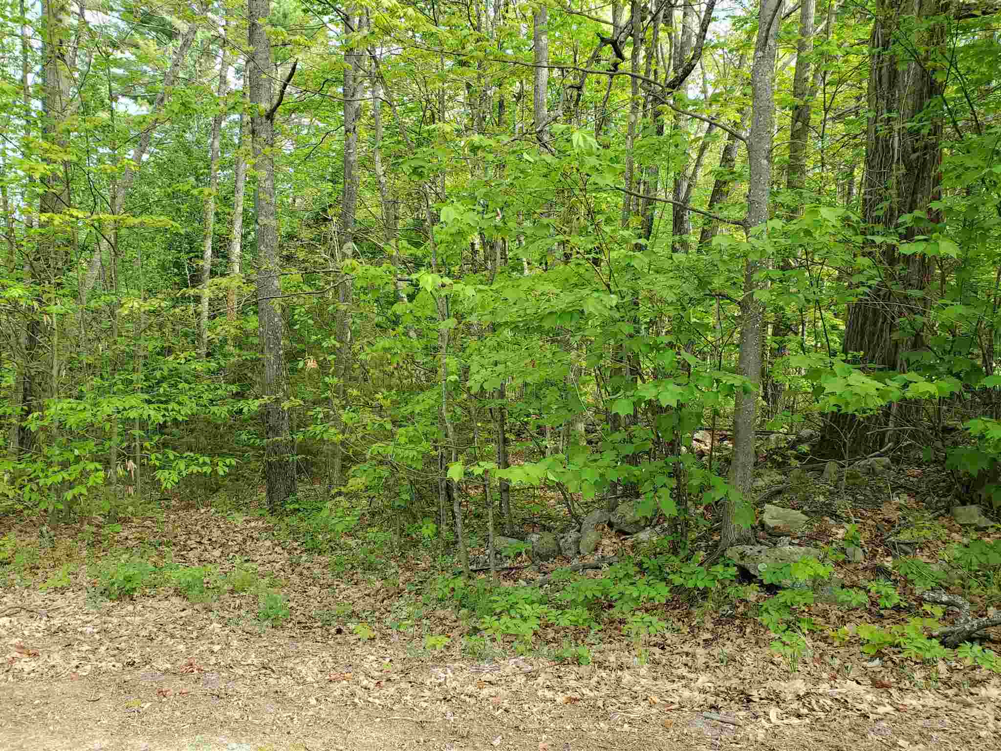 X Talbert Hill Road Canaan, NH 03741 - Photo 5 of 6 Gallery Image 5
