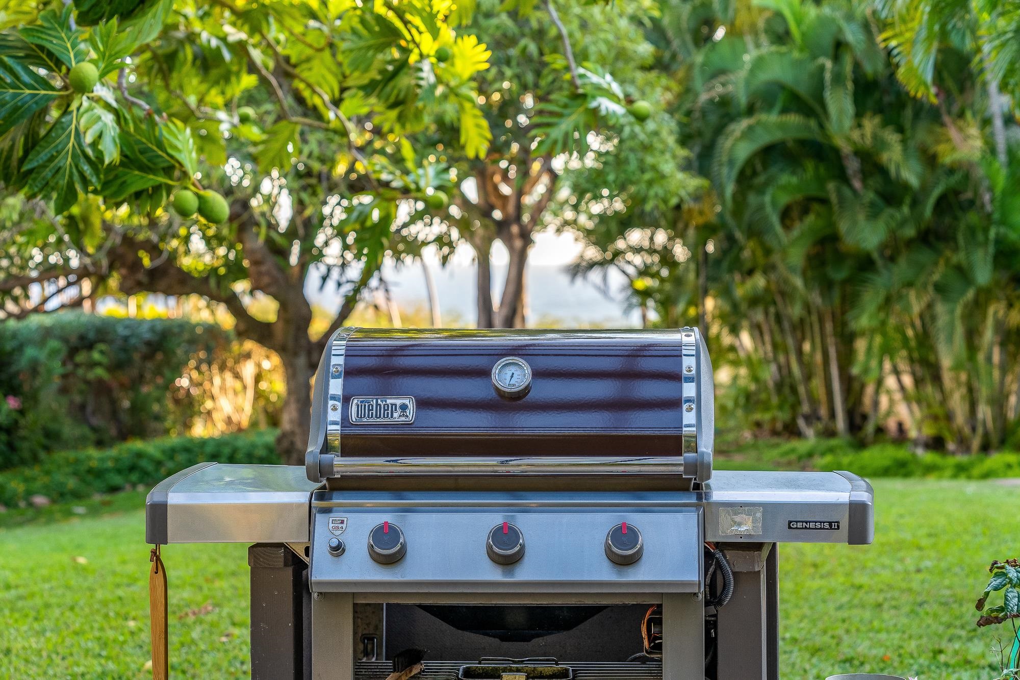 2777 South Kihei Road, Unit K102 Kihei, HI 96753 - Photo 40 of 41 a view of a outdoor space with trees
