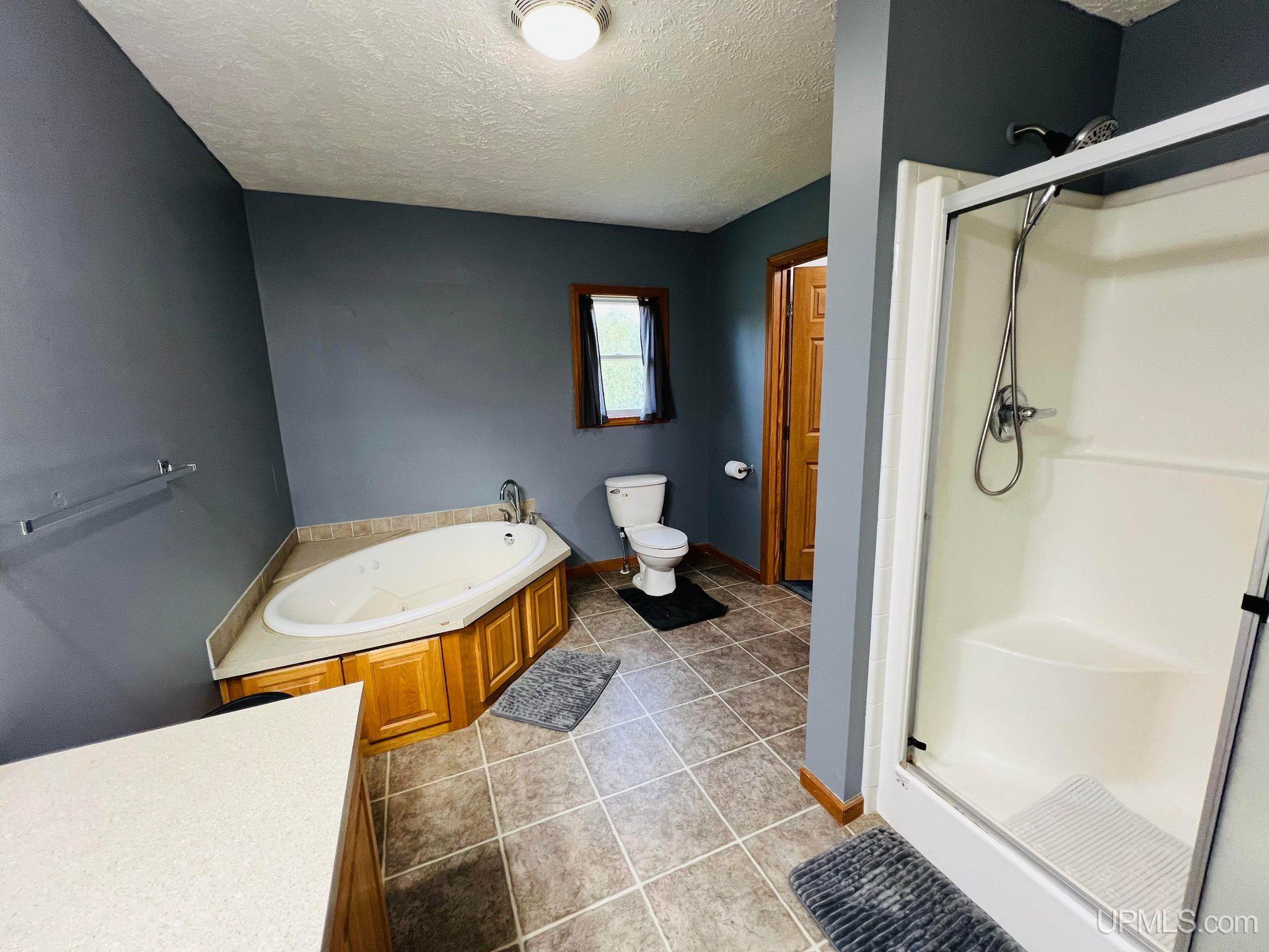 1110 Town Line Road Gulliver, MI 49840 - Photo 40 of 60 Gallery Image 40
