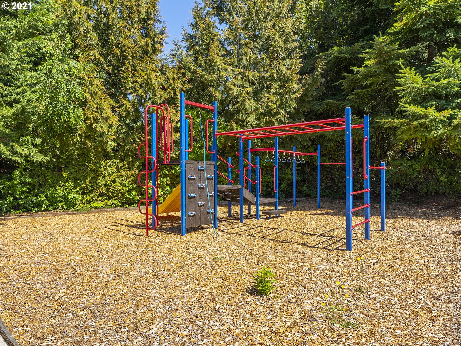 830 Springtree Lane West Linn, OR 97068 - Photo 23 of 25